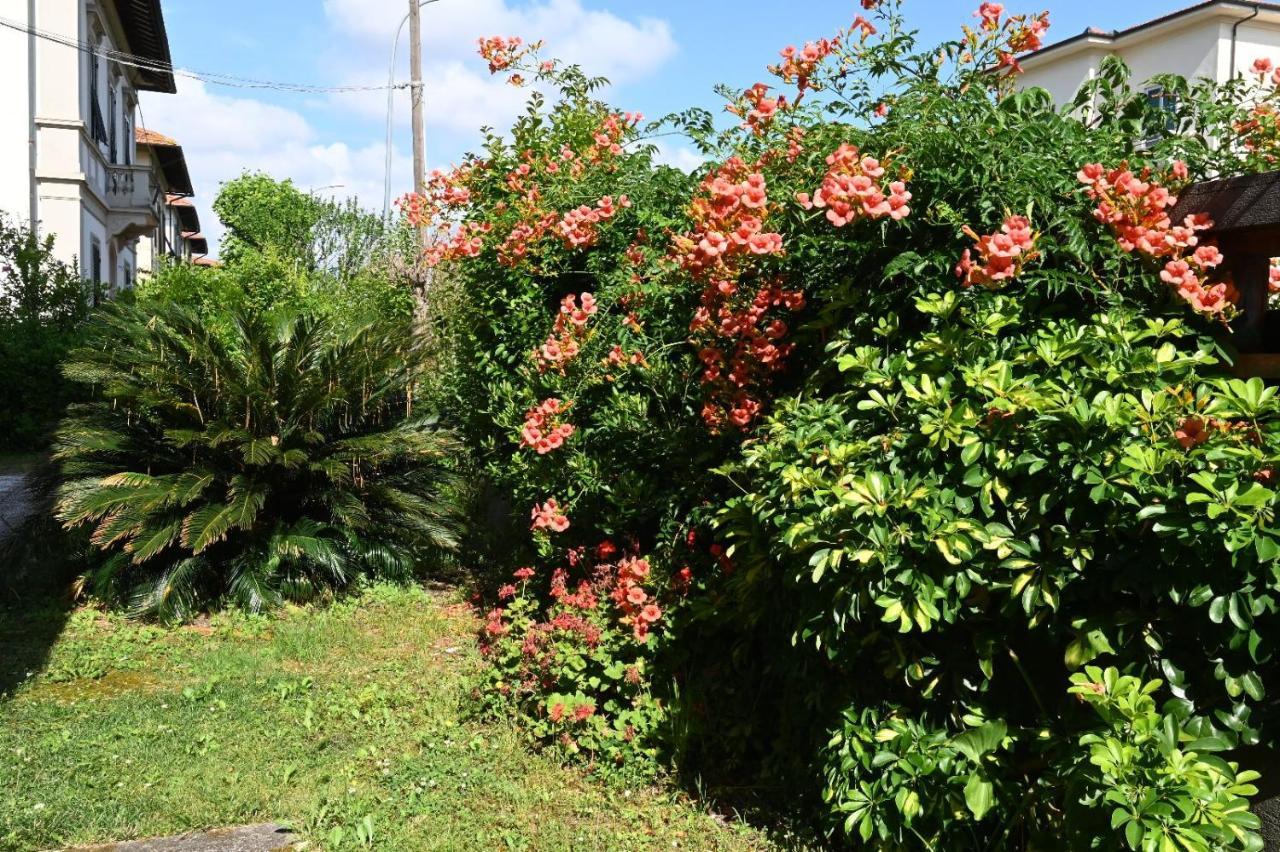 Villa Mehari ปิซา ภายนอก รูปภาพ